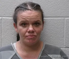 Mugshot of BRITTNEY LYNN MOORE booked in Henderson County, North Carolina on August 4, 2026