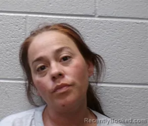 Mugshot of Amanda Marie Barbero booked in Henderson County, North Carolina on August 25, 2026