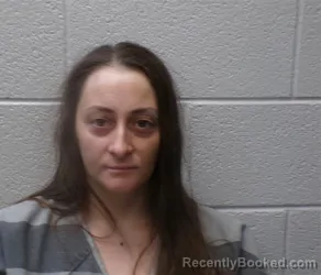 Mugshot of Dezaray Janis Caterino booked in Henderson County, North Carolina on August 28, 2026