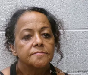 Mugshot of Sherri Ann Ross booked in Henderson County, North Carolina on August 29, 2026