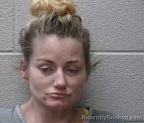 Mugshot of Heather Ann Pregler booked in Henderson County, North Carolina on August 30, 2026