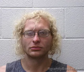 Mugshot of Ronnie Paul Bumgarner booked in Henderson County, North Carolina on September 4, 2026
