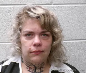 Mugshot of Rachel Marie Faison booked in Henderson County, North Carolina on September 9, 2026