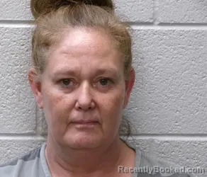 Mugshot of ERIN RENEE FRANTZ