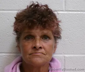 Mugshot of SUSAN RENEE STORIE booked in Henderson County, North Carolina on May 2, 2026