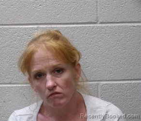 Mugshot of Allison Leigh Reis booked in Henderson County, North Carolina on August 25, 2026
