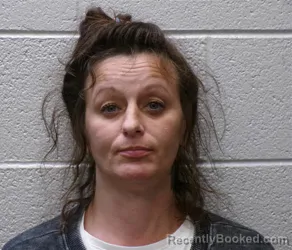 Mugshot of Tanya Michelle Butler booked in Henderson County, North Carolina on August 26, 2026
