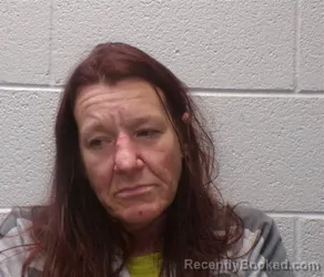 Mugshot of Angela Sheehan booked in Henderson County, North Carolina on September 13, 2026