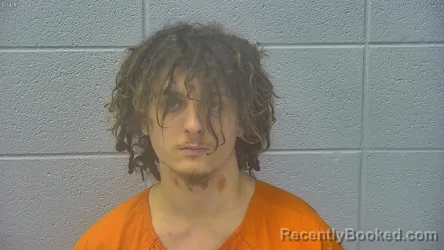 Mugshot of DAMIEN TAYLOR LURDING