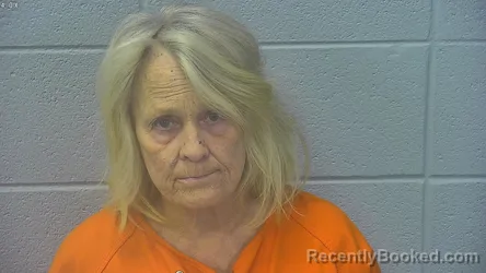 Mugshot of DEE ANN GIESLER