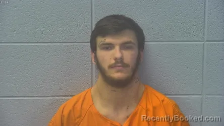 Mugshot of DEVIN ALEXANDER DICKENS