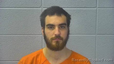 Mugshot of ADRIAN LEE WILKINSON