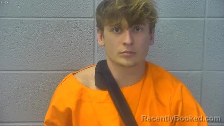 Mugshot of ANDREW DAVID BENALES