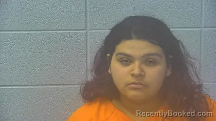 Mugshot of CHELSEY JANELLE CASTILLO
