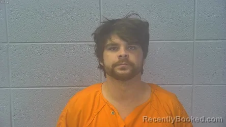 Mugshot of TANNER WADE OPEL