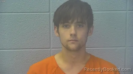 Mugshot of MICHAEL WAYNE PETRY