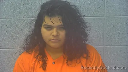 Mugshot of CHELSEY JANELLE CASTILLO booked in Dubois County, Indiana on August 4, 2026