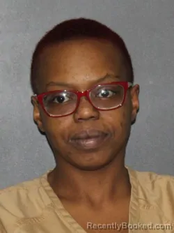 Mugshot of Ashley Sade McGee