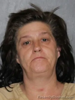 Mugshot of Tonya Rae McCartney booked in Elkhart County, Indiana on May 27, 2026