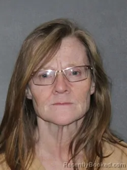 Mugshot of Donna Denice Sigerfoos booked in Elkhart County, Indiana on March 8, 2026