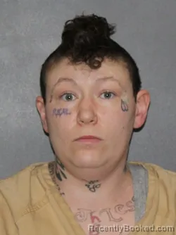 Mugshot of Toni Renee Young