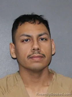 Mugshot of Luis Ambriz