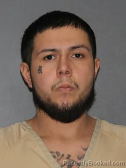 Booking photo from Elkhart County, Indiana