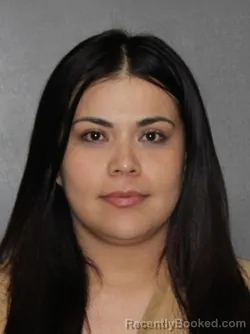 Mugshot of Lizbeth Rios Carrillo booked in Elkhart County, Indiana on March 9, 2026