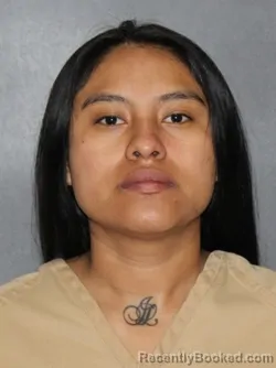 Booking photo from Elkhart County, Indiana