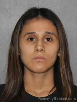 Mugshot of Ari A Cabrera-Silvestre