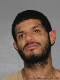 Mugshot of Raevonn Antonio Williams