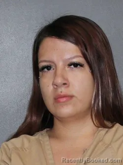 Mugshot of Karla Aranza Fernandez booked in Elkhart County, Indiana on September 11, 2026