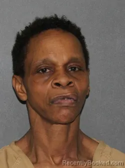 Mugshot of Charnessa Faye Johnson booked in Elkhart County, Indiana on March 22, 2026