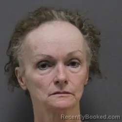 Mugshot of Lisa M Sylvan booked in Elkhart County, Indiana on May 14, 2026