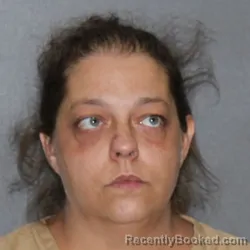 Mugshot of Angela K Housouer booked in Elkhart County, Indiana on September 9, 2026