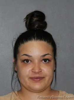 Mugshot of Ana Maria Quevedo Badgerow booked in Elkhart County, Indiana on March 9, 2026