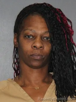 Mugshot of Tracey Renee McCloud
