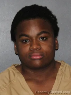 Mugshot of Nuja C Baskin booked in Elkhart County, Indiana on March 7, 2026