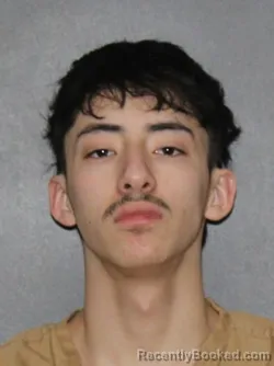 Mugshot of Miguel Flores Esparza