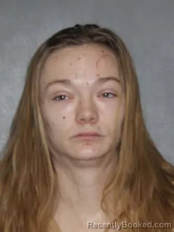 Mugshot of Ryan K Wright