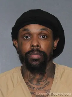 Mugshot of Timothy Marcus Mayberry