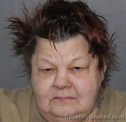 Mugshot of Lisa R Crockett