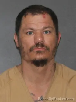 Mugshot of William T Holsinger