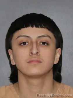Mugshot of Andres Lozano