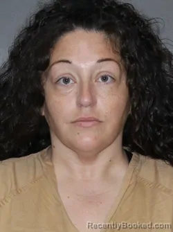 Mugshot of Kristin Leigh Steinke booked in Elkhart County, Indiana on August 3, 2026