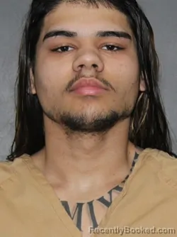 Mugshot of Christian Lee Brown