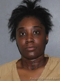Mugshot of Bianca Shanta Alexander booked in Elkhart County, Indiana on August 18, 2026
