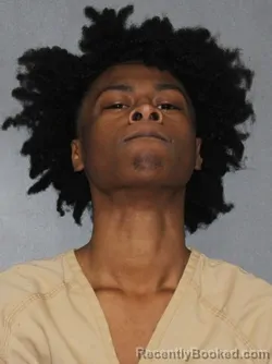 Mugshot of Donnel Drain