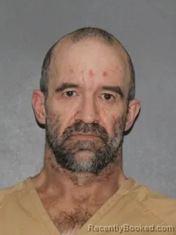 Mugshot of Tracy Ludington