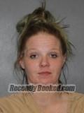 Booking photo from Elkhart County, Indiana